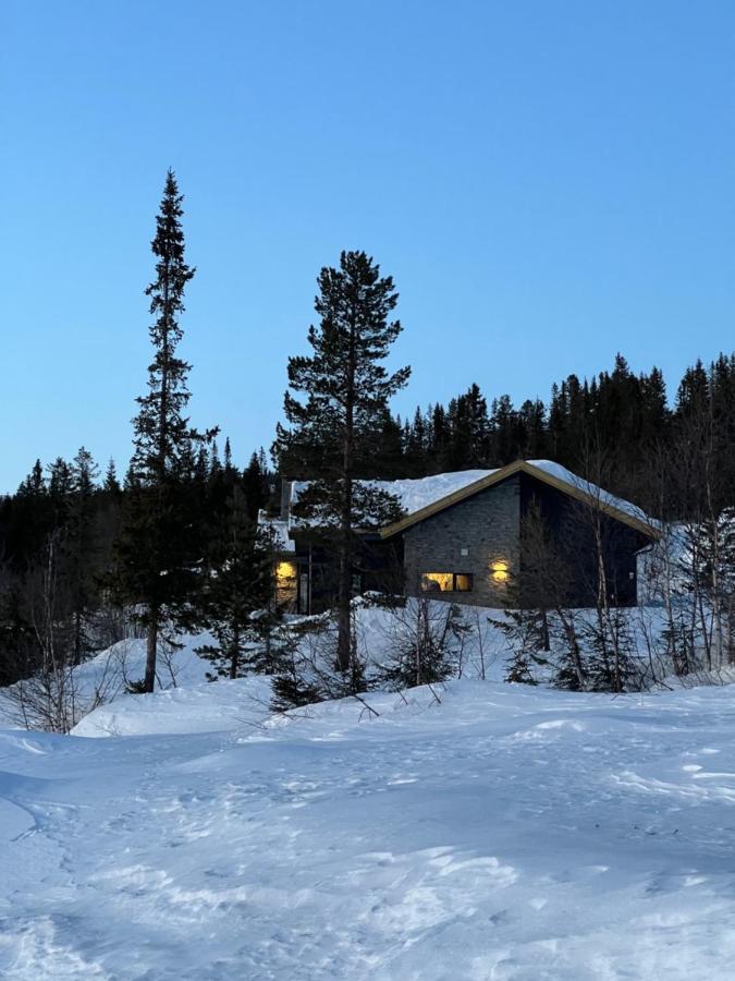 Brand New Cabin On The Sunny Side Of Gaustatoppen With A Great View Tuddal Exterior foto
