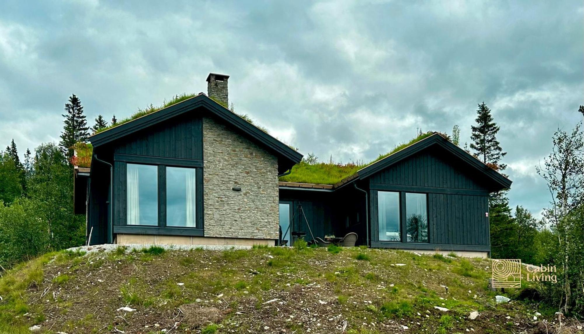 Brand New Cabin On The Sunny Side Of Gaustatoppen With A Great View Tuddal Exterior foto
