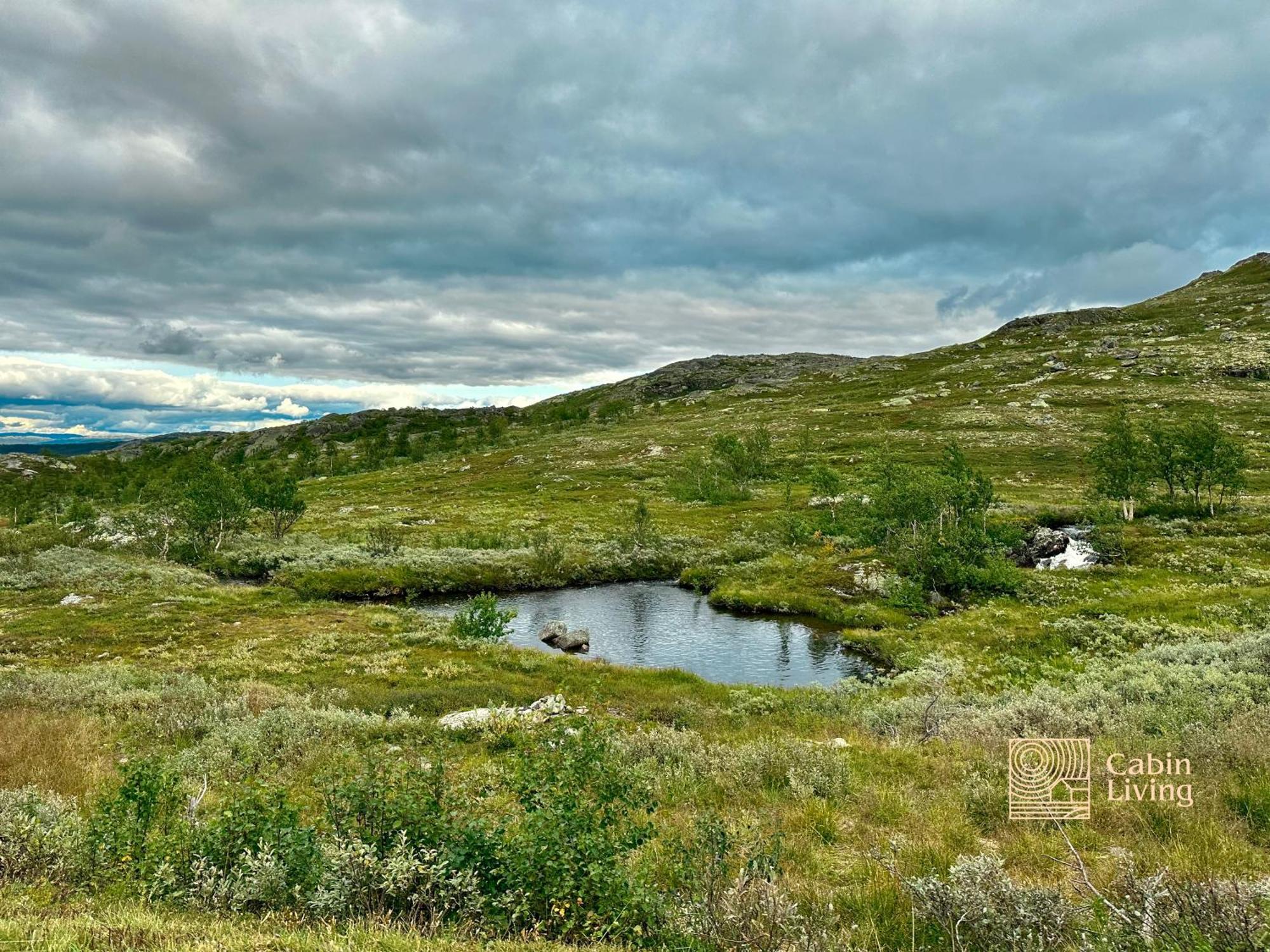 Brand New Cabin On The Sunny Side Of Gaustatoppen With A Great View Tuddal Exterior foto