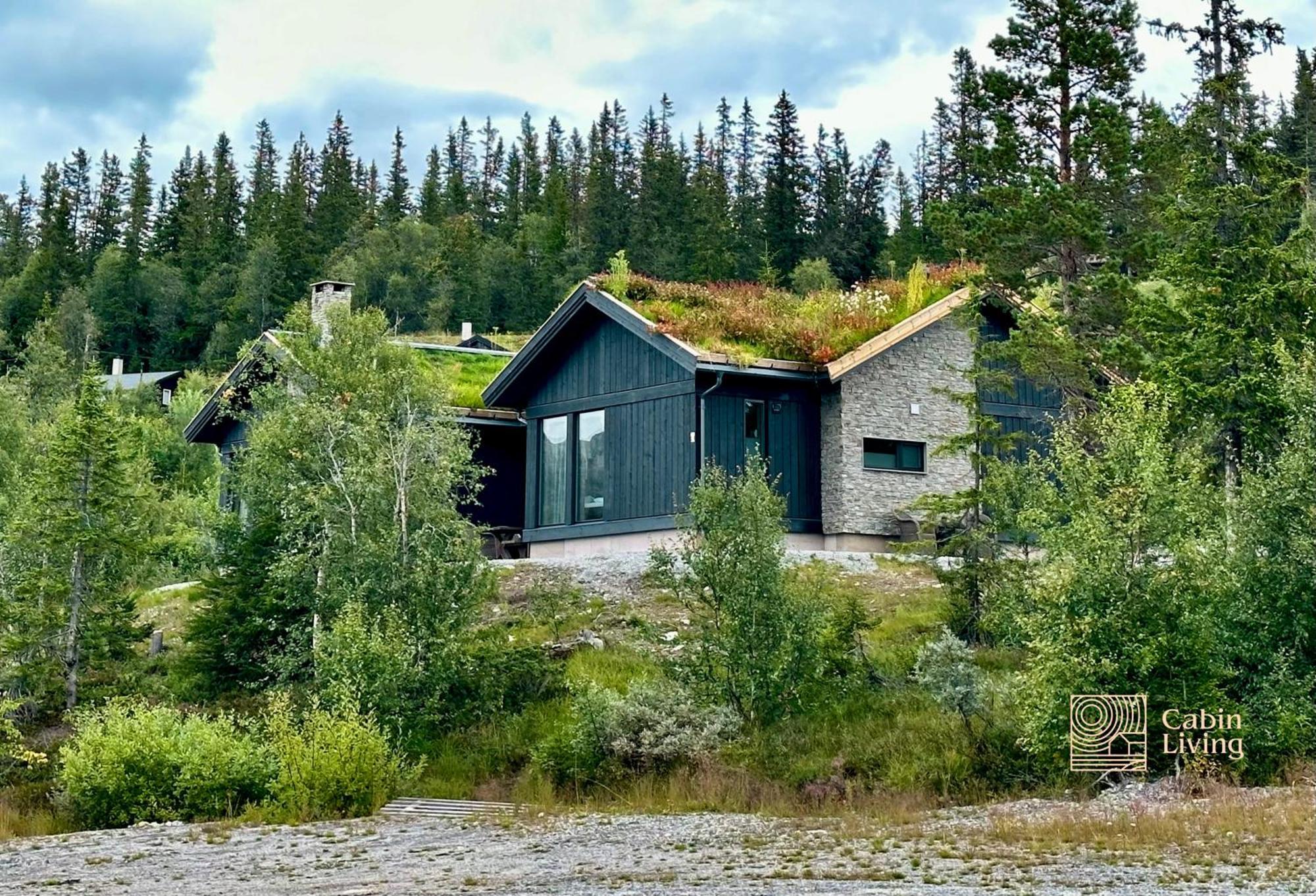 Brand New Cabin On The Sunny Side Of Gaustatoppen With A Great View Tuddal Exterior foto